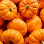 propiedades de la calabaza