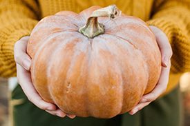 propiedades de la calabaza
